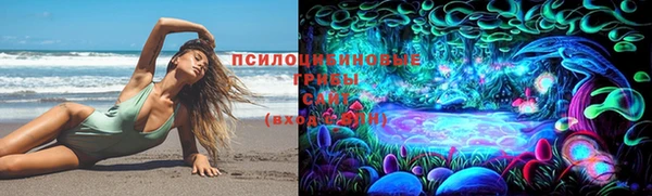 гашик Алзамай