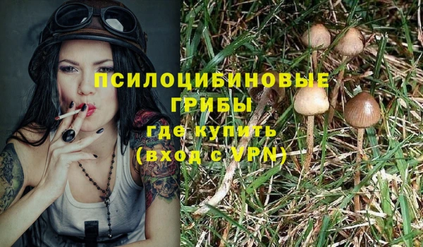 гашик Алзамай