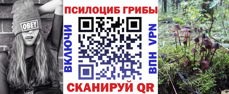 Галлюциногенные грибы прущие грибы  Тында 